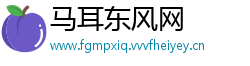马耳东风网